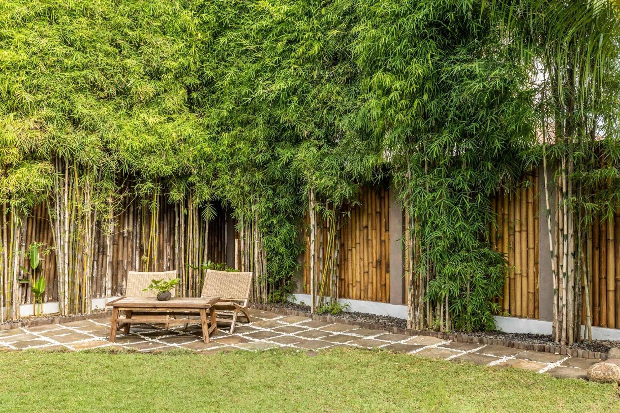 Rimba Villas Gili Air Oda fotoğraf